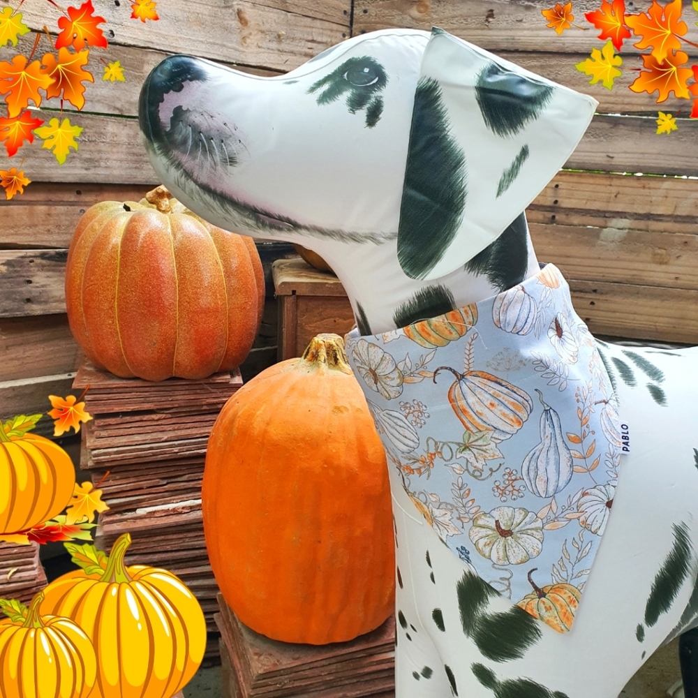 🐶 5 for $15 * Pablo Reversible Pumpkin Fall Autumn Cotton Dog Bandana